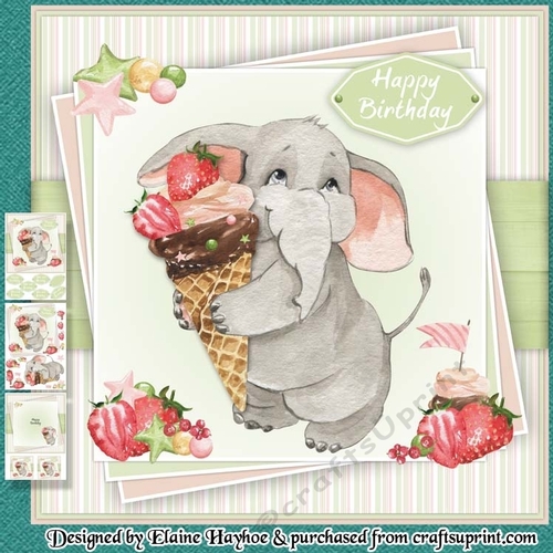Elephant Age Card Mini Kit