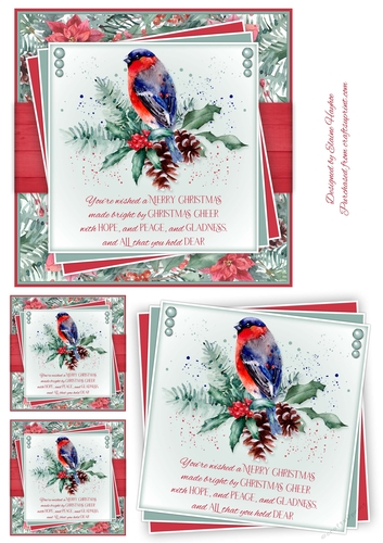6inch Bullfinch 1 Card Front