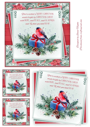 6inch Bullfinch 3 Card Front