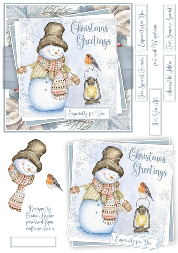 Christmas Robin 2
