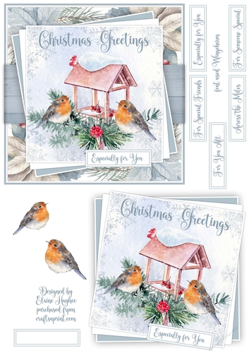 Christmas Robin 3