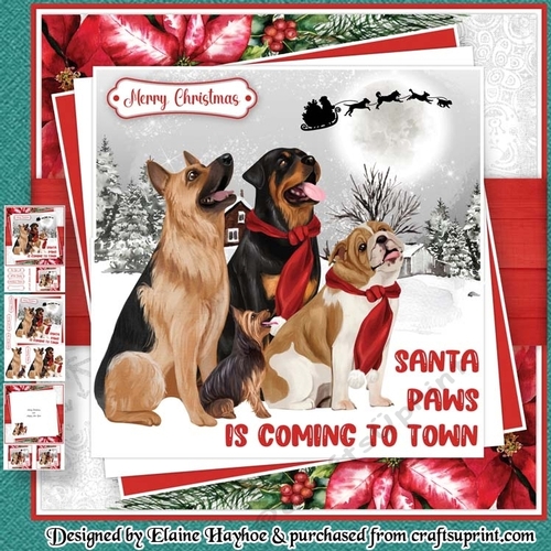 Santa Paws Mini Kit