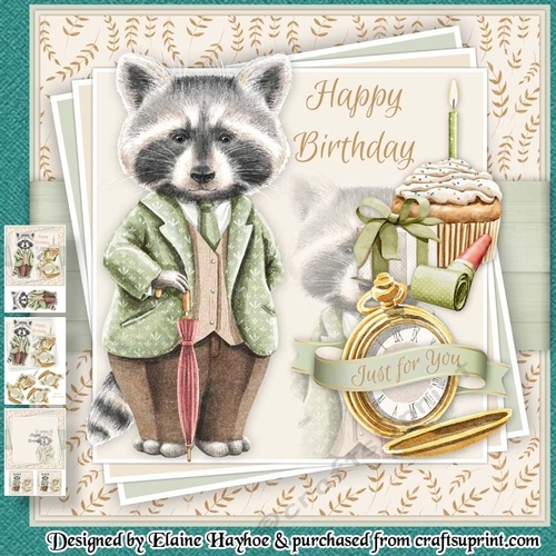 Birthday Raccoon Mini Kit
