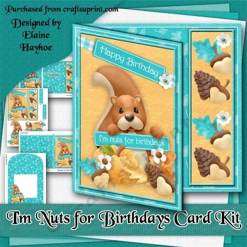 Im Nuts for Birthdays Card Kit