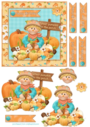 Cutest Pumpkin Birthday Cardfront/Topper