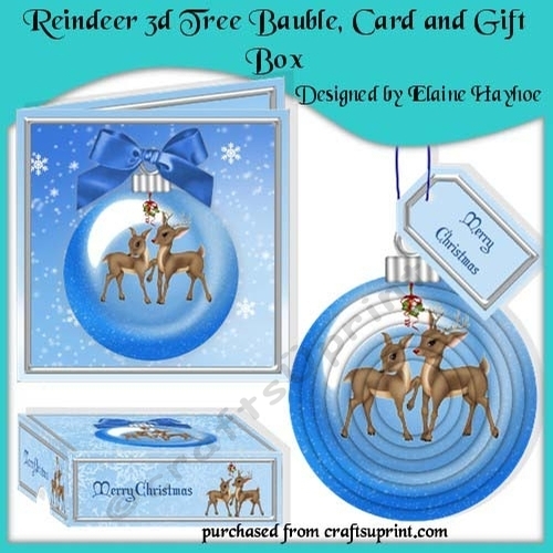 Reindeer 3d Bauble Gift Set