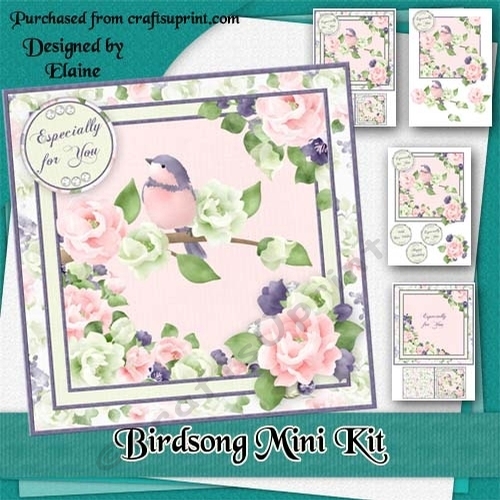 Birdsong Birthday Mini Kit