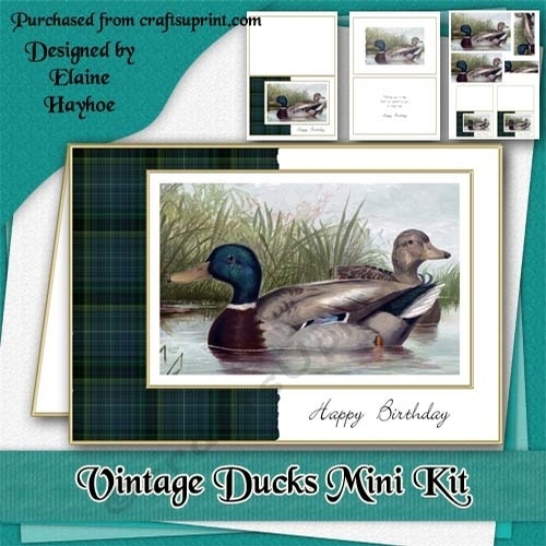 Vintage Ducks