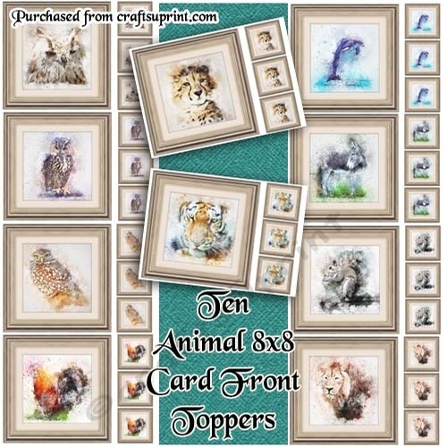 10 Animal 8x8 Cardfronts / Toppers Bumper Pack
