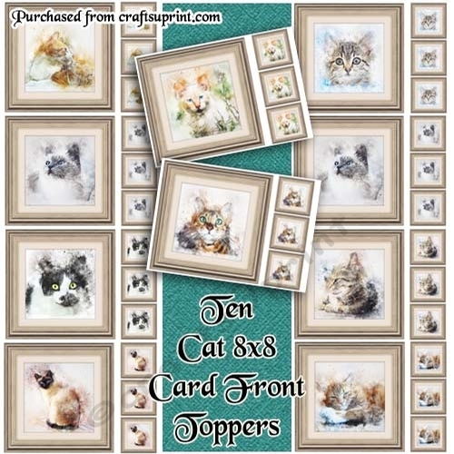 10 Cat 8x8 Cardfronts / Toppers Bumper Pack