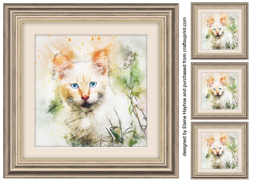 Cat 1 8x8 Card Front / Topper