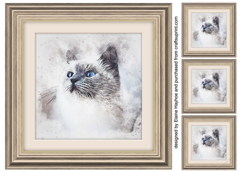 Cat 4  8x8 Card Front / Topper