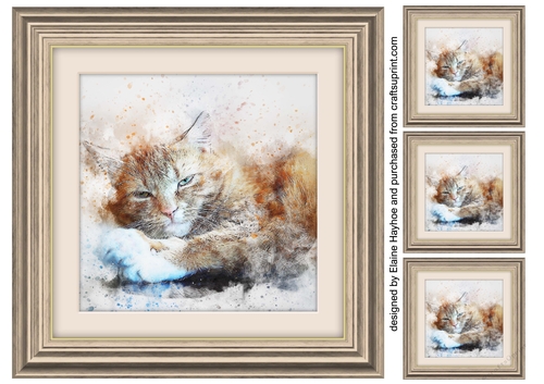 Cat 10  8x8 Card Front / Topper