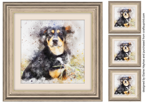 Dog 2  8x8 Card Front / Topper