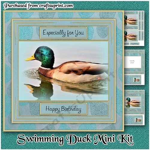 Swimming Duck Mini Kit