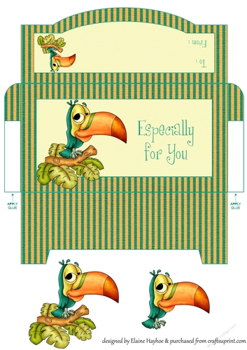 Wacky Bird Cash Envelope