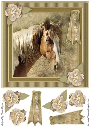 Pretty Pony 8x8 Card Front Topper
