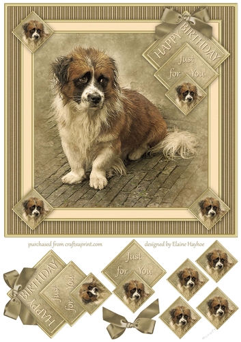 Sad Sam 8x8 Card Front Topper