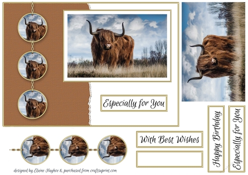 A5 Highland Cow Card Front Topper
