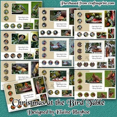 Christmas at the Bird Table Bumper Kit