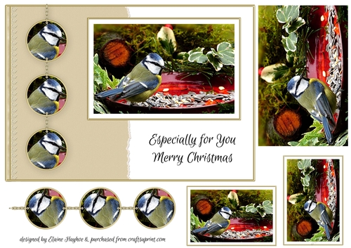 Blue Tit2 A5 Christmas Card Front