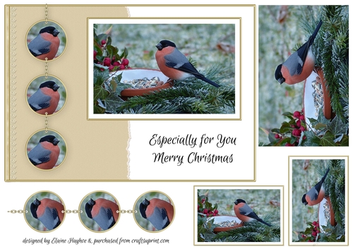 Bullfinch A5 Christmas Card Front