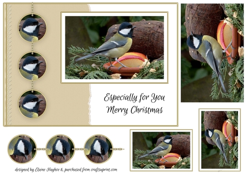 Great Tit A5 Christmas Card Front