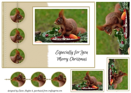 Red Squirrel A5 Christmas Card Front