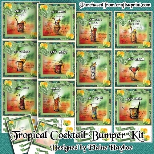 Tropical Cocktails Bumper Kit