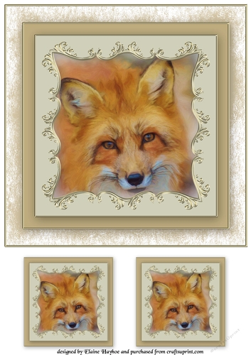 Fox 8x8 Card Front Topper