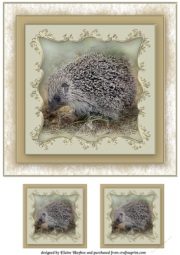 Hedgehog 8x8 Card Front Topper