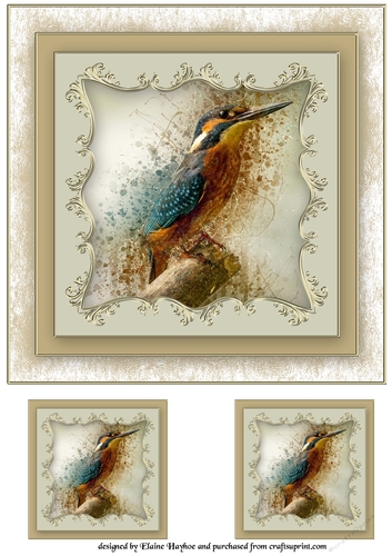 Kingfisher 8x8 Card Front Topper
