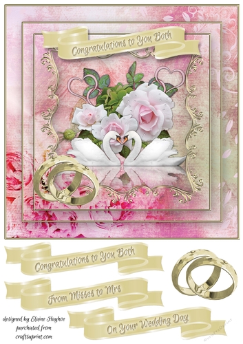 Swans Wedding Day Card Front / Topper