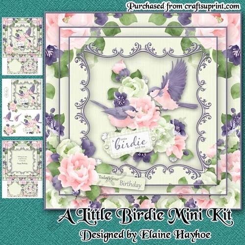A Little Birdie Mini Kit