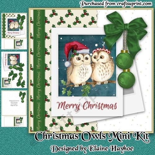 Christmas Owls Mini Kit