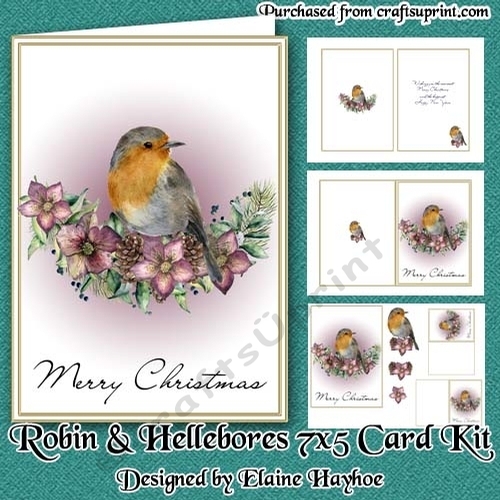 Robin & Hellebores 5x7 Card Kit