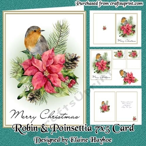 Robin & Poinsettia 5x7 Card Kit