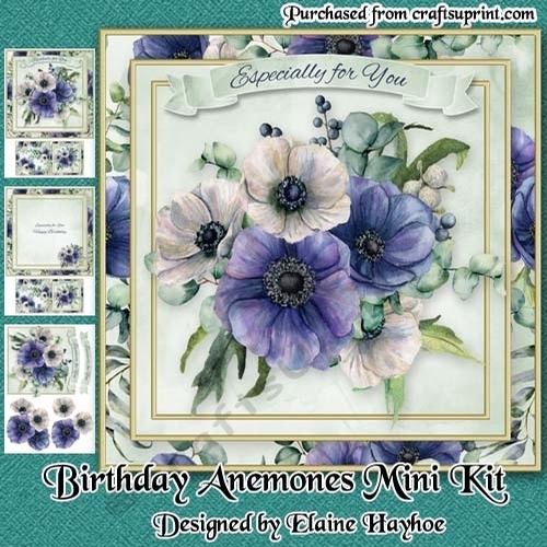 Birthday Anemones Mini Kit