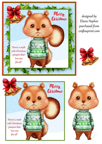 Christmas Jumper Squirrel Card Front