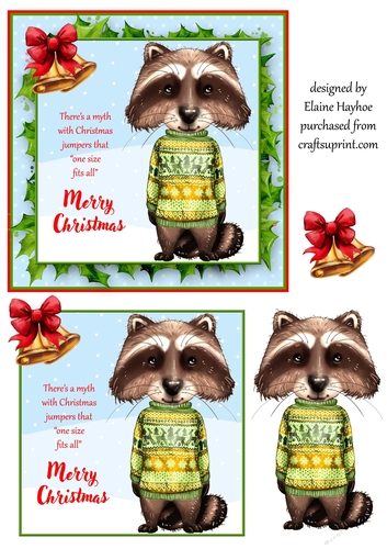 Christmas Jumper Raccoon Card Front
