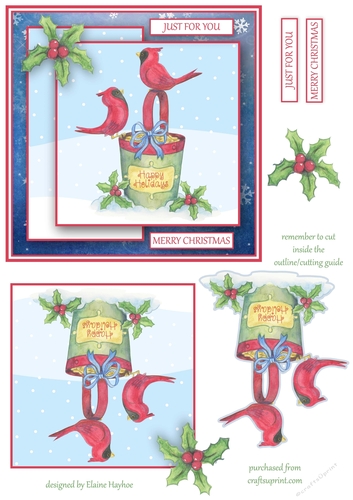 Cardinals 6x6 Christmas Card Front