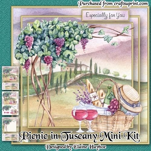 Picnic in Tuscany Mini Kit
