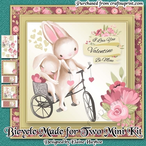 A Bicycle Made for Two Mini Kit
