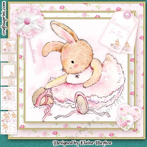 Bunny Ballerina Mini Kit