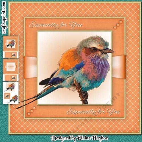 Pretty Little Bird Mini Kit