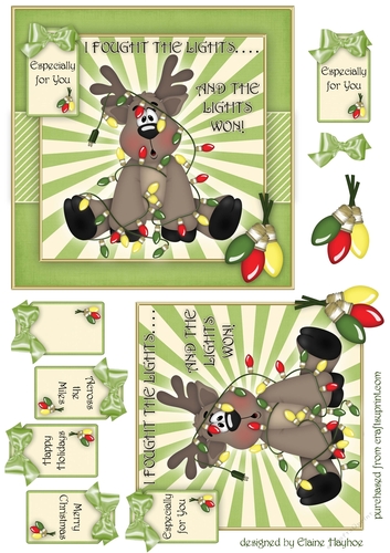 I Fought the Lights Quick Card