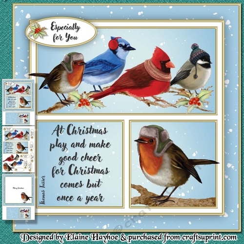 Winter Birds Christmas Mini Kit