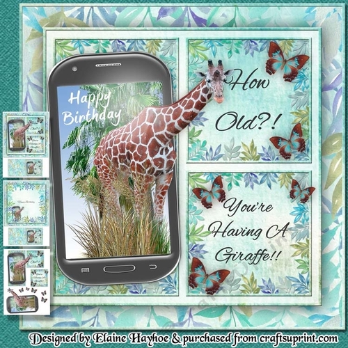 Youre Having A Giraffe Birthday Mini Kit