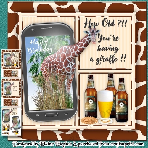 Having A Giraffe Male Birthday Mini Kit