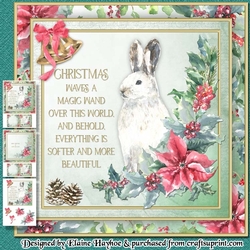 Snow Hare Mini Kit